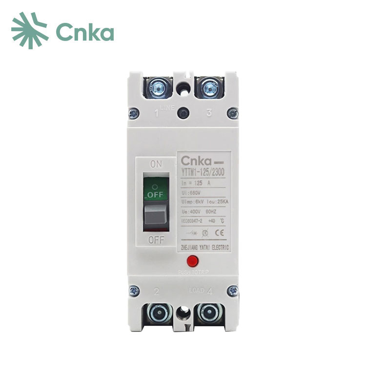 Elekter 100a AC Mccb